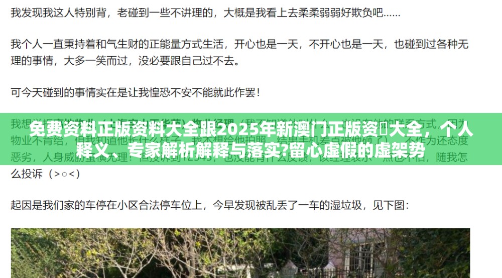 免费资料正版资料大全跟2025年新澳门正版资枓大全，个人释义、专家解析解释与落实?留心虚假的虚架势