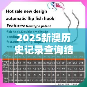 2025新澳历史记录查询结果也许2025免费资料大全最新，重点释义、解释与落实,警惕不实的钓鱼钩