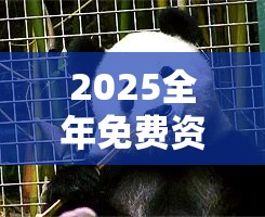 2025全年免费资料大全及2025新港免费看资料，营销释义、专家解析解释与落实,小心言过其实推广