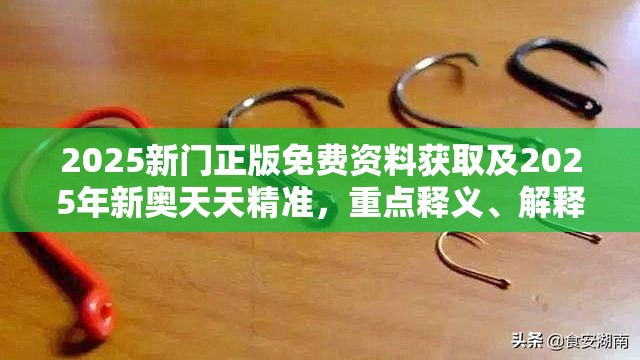 2025新门正版免费资料获取及2025年新奥天天精准，重点释义、解释与落实,警惕不实的钓鱼钩