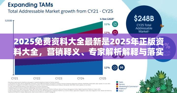 2025免费资料大全最新是2025年正版资料大全，营销释义、专家解析解释与落实,小心言过其实推广