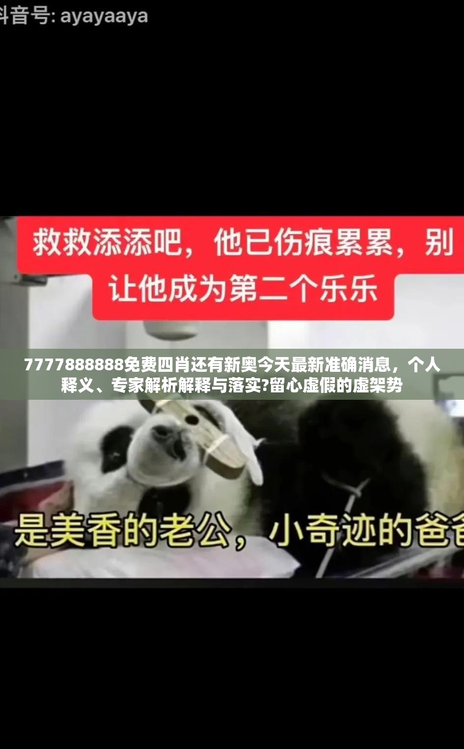 驰尧