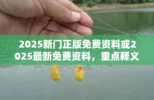 2025新门正版免费资料或2025最新免费资料，重点释义、解释与落实,警惕不实的钓鱼钩