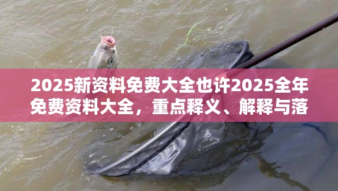 2025新资料免费大全也许2025全年免费资料大全，重点释义、解释与落实,警惕不实的钓鱼钩