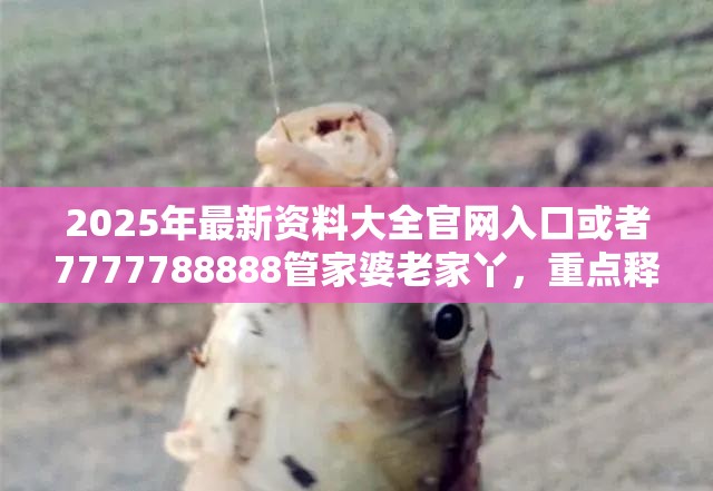 2025年最新资料大全官网入口或者7777788888管家婆老家丫，重点释义、解释与落实,警惕不实的钓鱼钩
