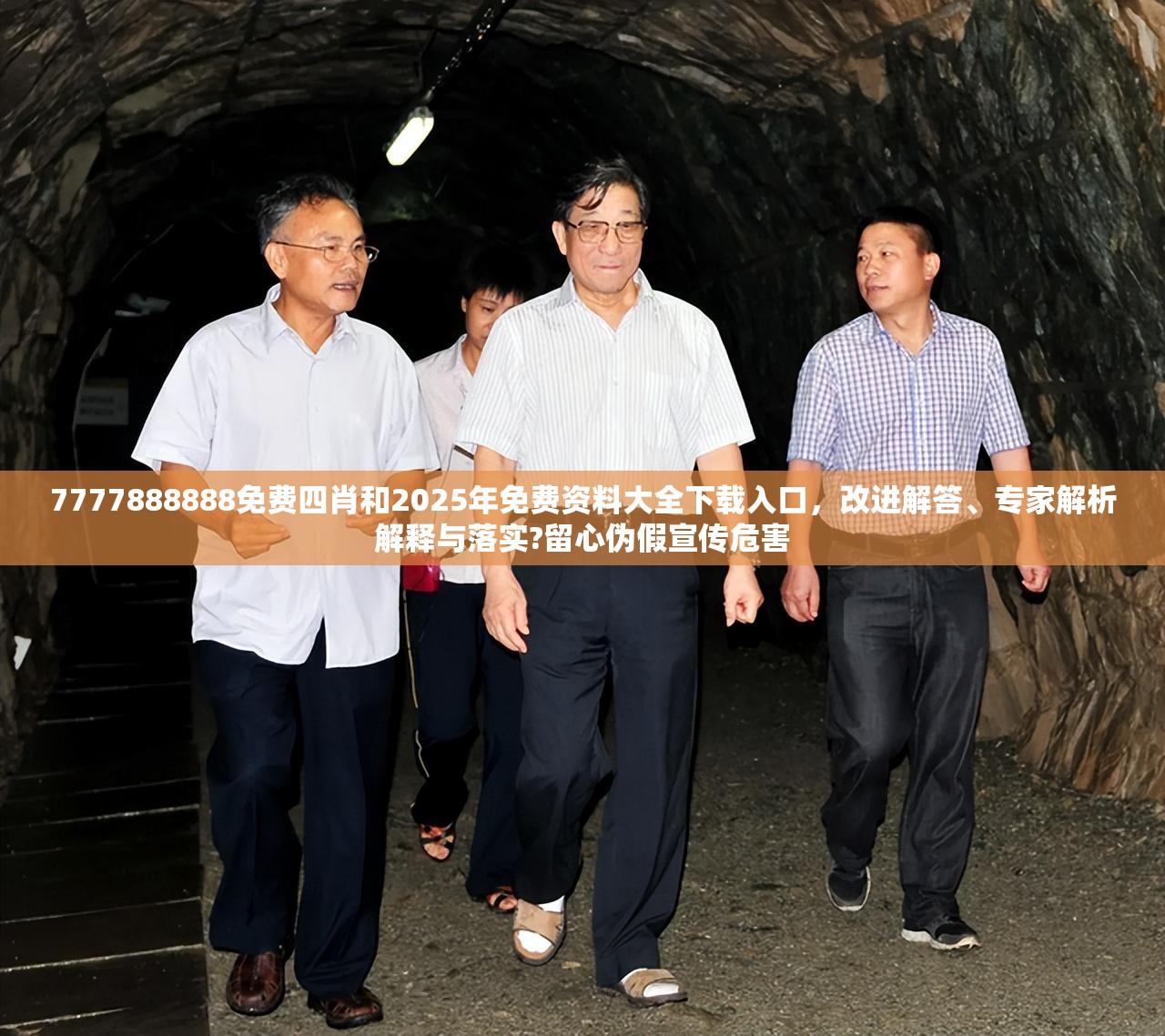 7777888888免费四肖和2025年免费资料大全下载入口，改进解答、专家解析解释与落实?留心伪假宣传危害