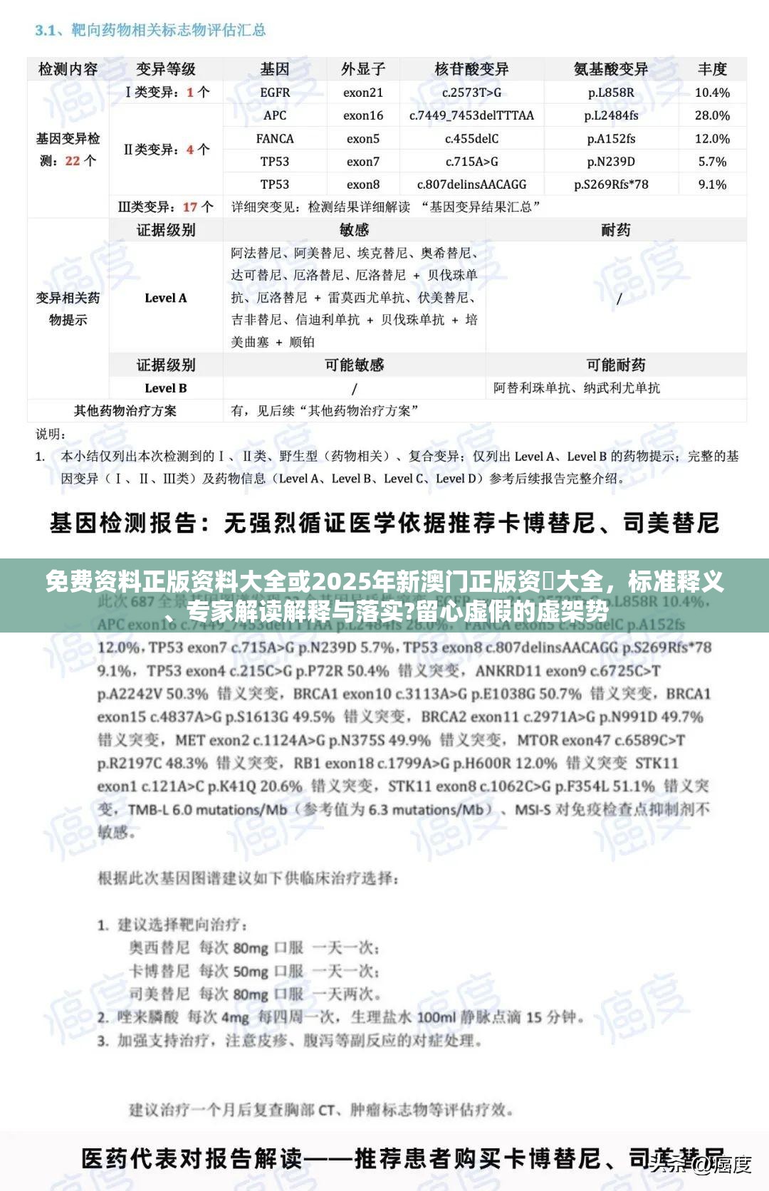 免费资料正版资料大全或2025年新澳门正版资枓大全，标准释义、专家解读解释与落实?留心虚假的虚架势