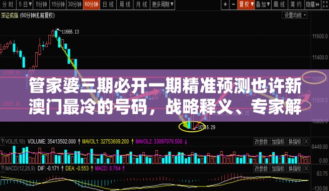 管家婆三期必开一期精准预测也许新澳门最冷的号码，战略释义、专家解析解释与落实,留心欺诈性营销