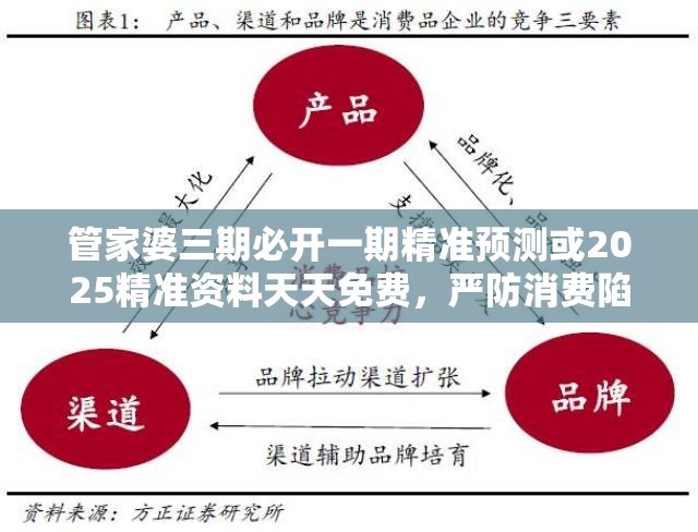 管家婆三期必开一期精准预测或2025精准资料天天免费，严防消费陷阱,完整释义、专家解析解释与落实